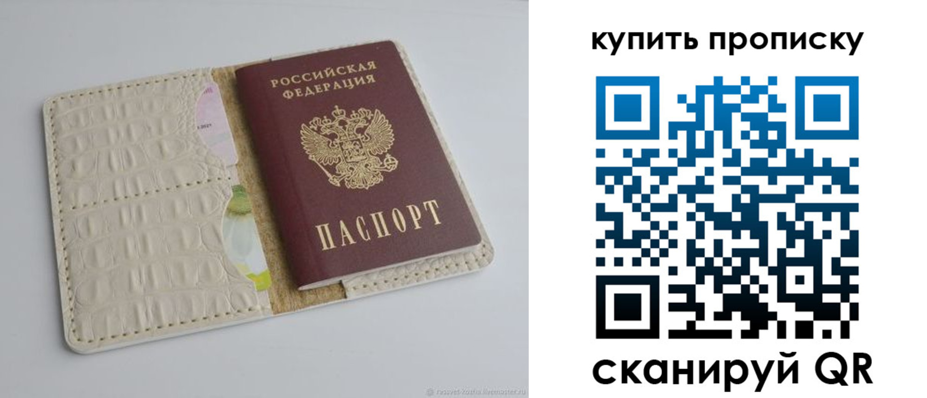 временная регистрация гарантия в Сланцах